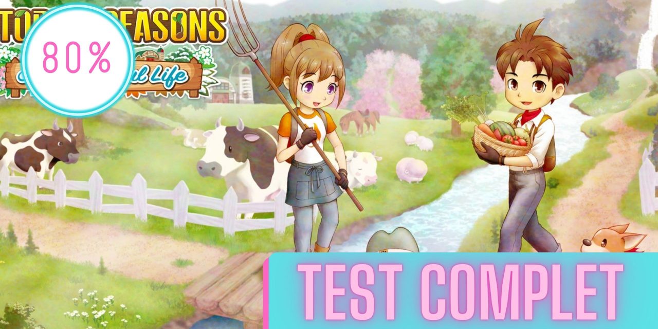Story of Seasons: A Wonderful Life | Le Test