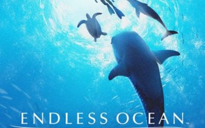 Endless Ocean Luminous