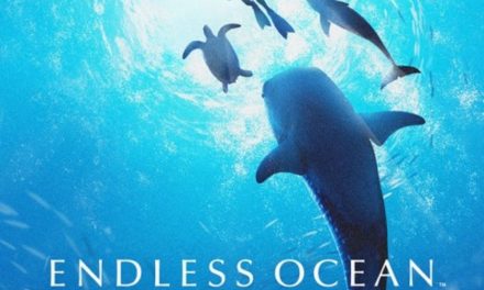 Endless Ocean Luminous