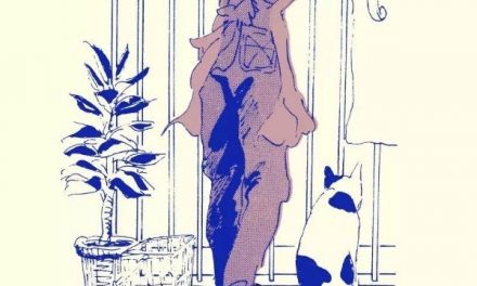 Shinkirari – Derrière le rideau, la liberté