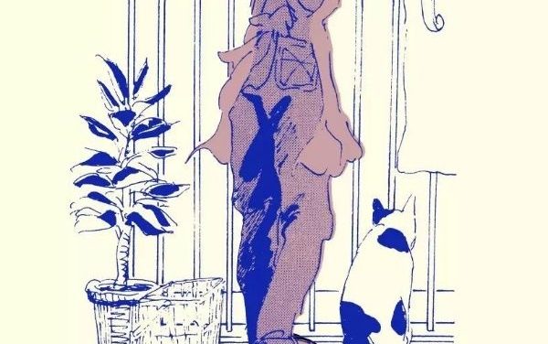 Shinkirari – Derrière le rideau, la liberté