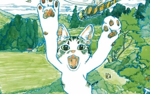 Le petit monde de Kabocha